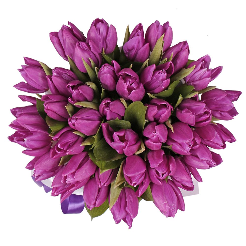 Bouquet Purple tulips in a box