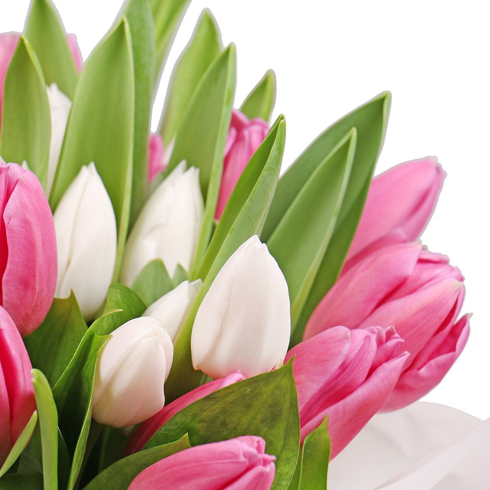 Bouquet Pink and white tulips in a box