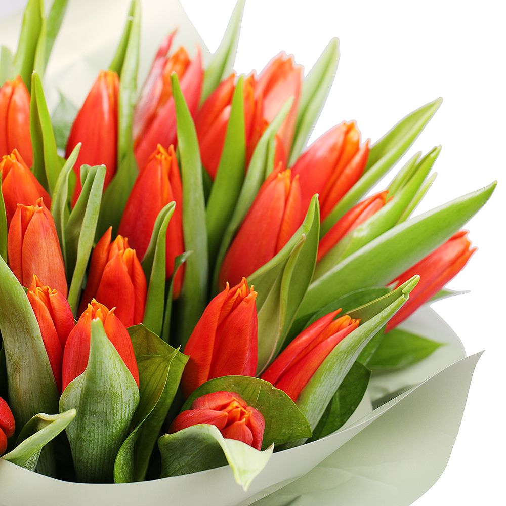 Bouquet Box with tulips