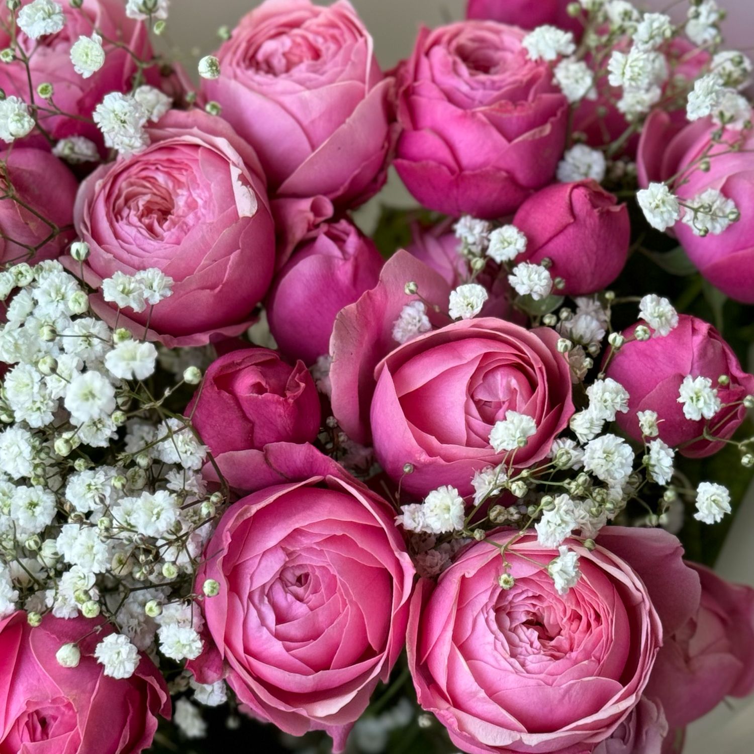 rose (7 pcs.), gypsophila, packaging, ribbon