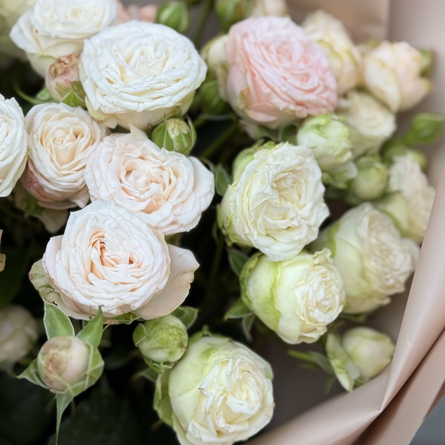 Bouquet Bouquet of tender spray roses