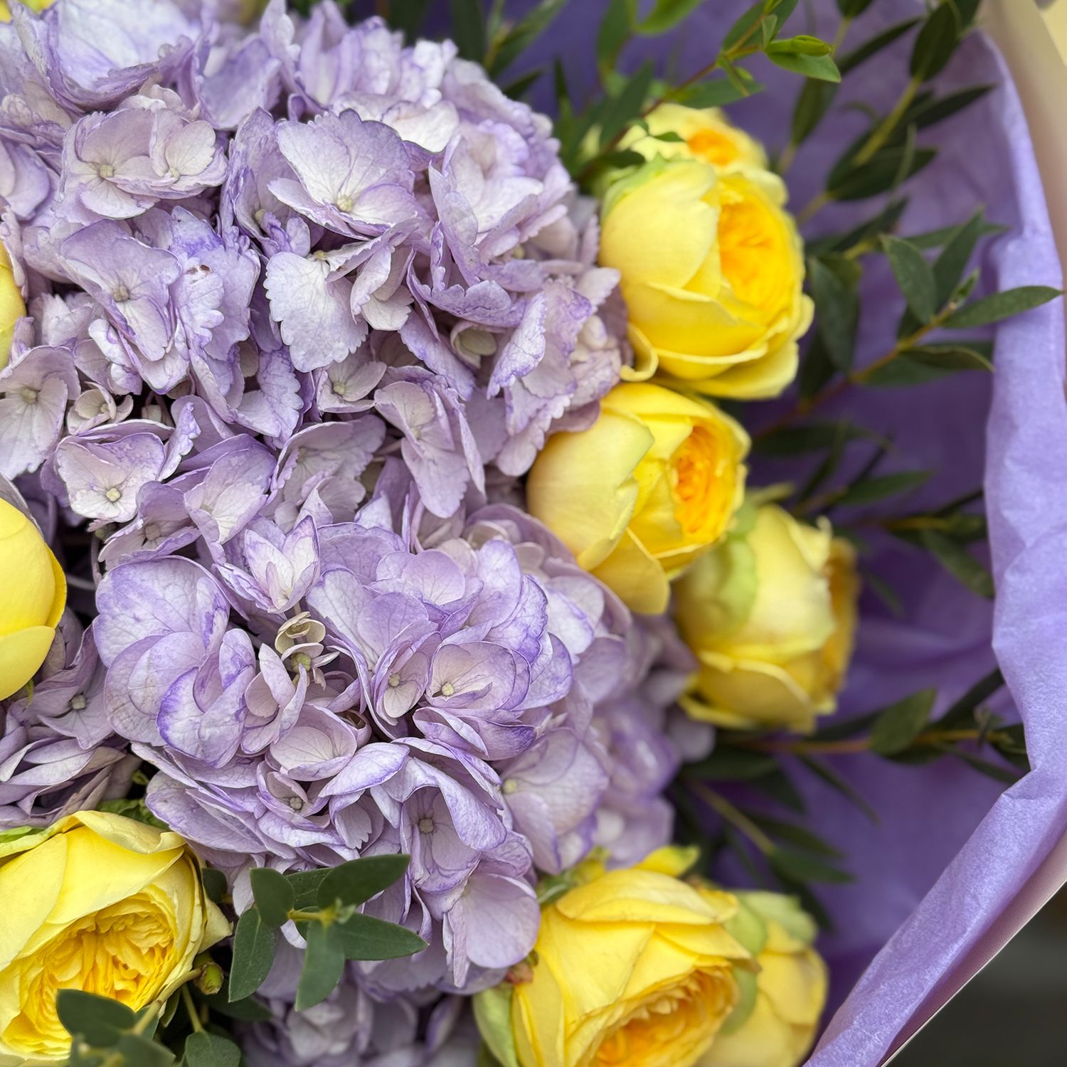 Bouquet Hydrangeas and Yellow Roses Lavender morning