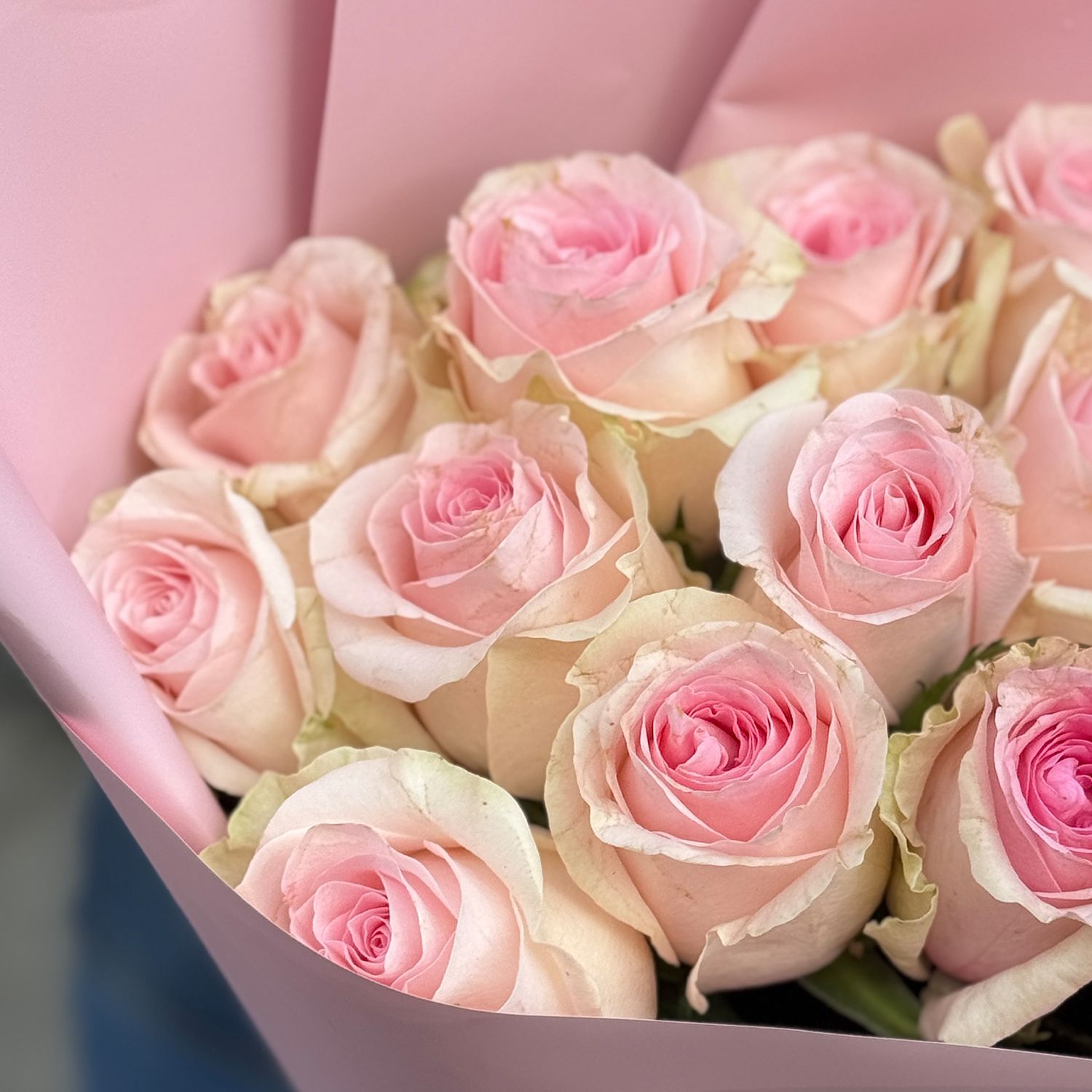 Bouquet 15 pink roses Kenia