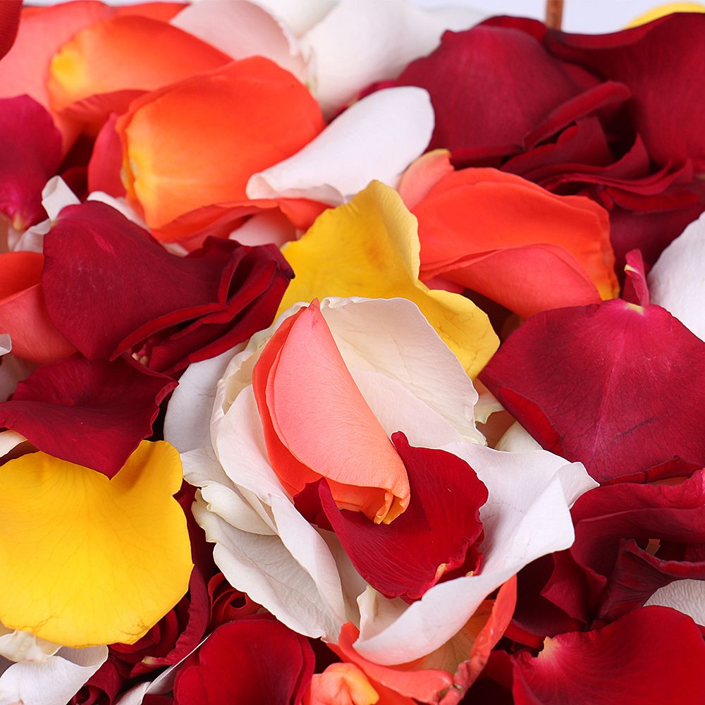basket, rose (23 pcs.), packaging, ribbon