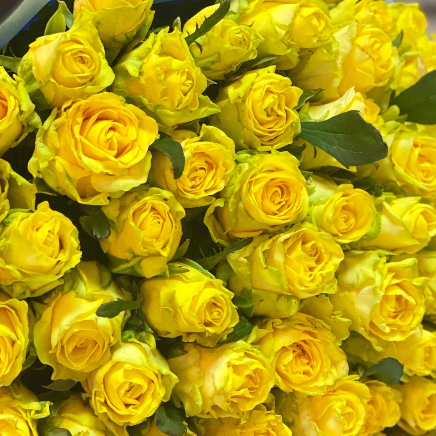 Bouquet Yellow roses by piece
