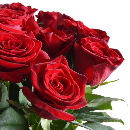 Bouquet Promo! Ruby bouquet + teddy bear for free!!!  