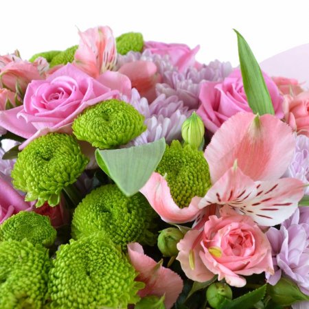 pink rose, packaging, ribbon