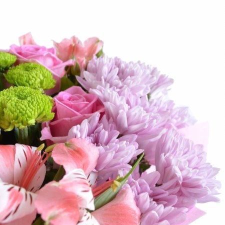 pink rose, packaging, ribbon
