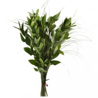 Product Additional greenery