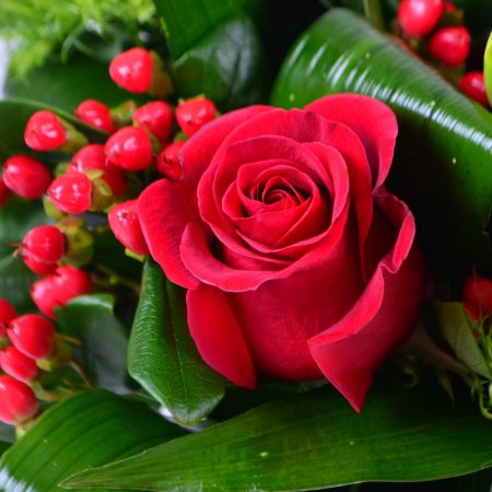 Order the bouquet in our online shop. Delivery!