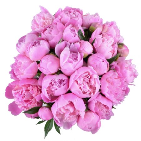 peony (17 pcs.), packaging, ribbon