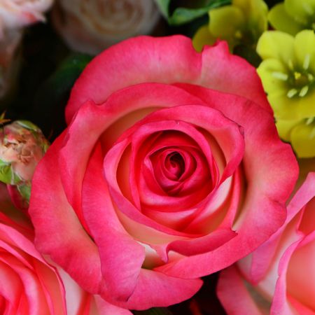 Order bouquet in our online shop. Delivery!