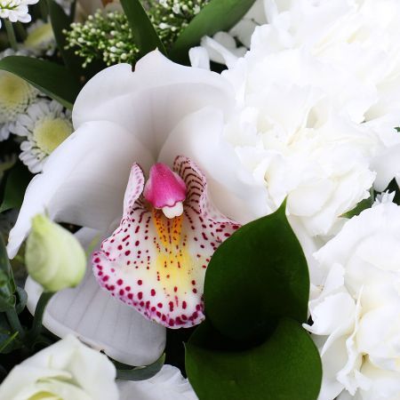 carnation, chrysanthemum, cymbidium, trachelium, eustoma, packaging, ribbon