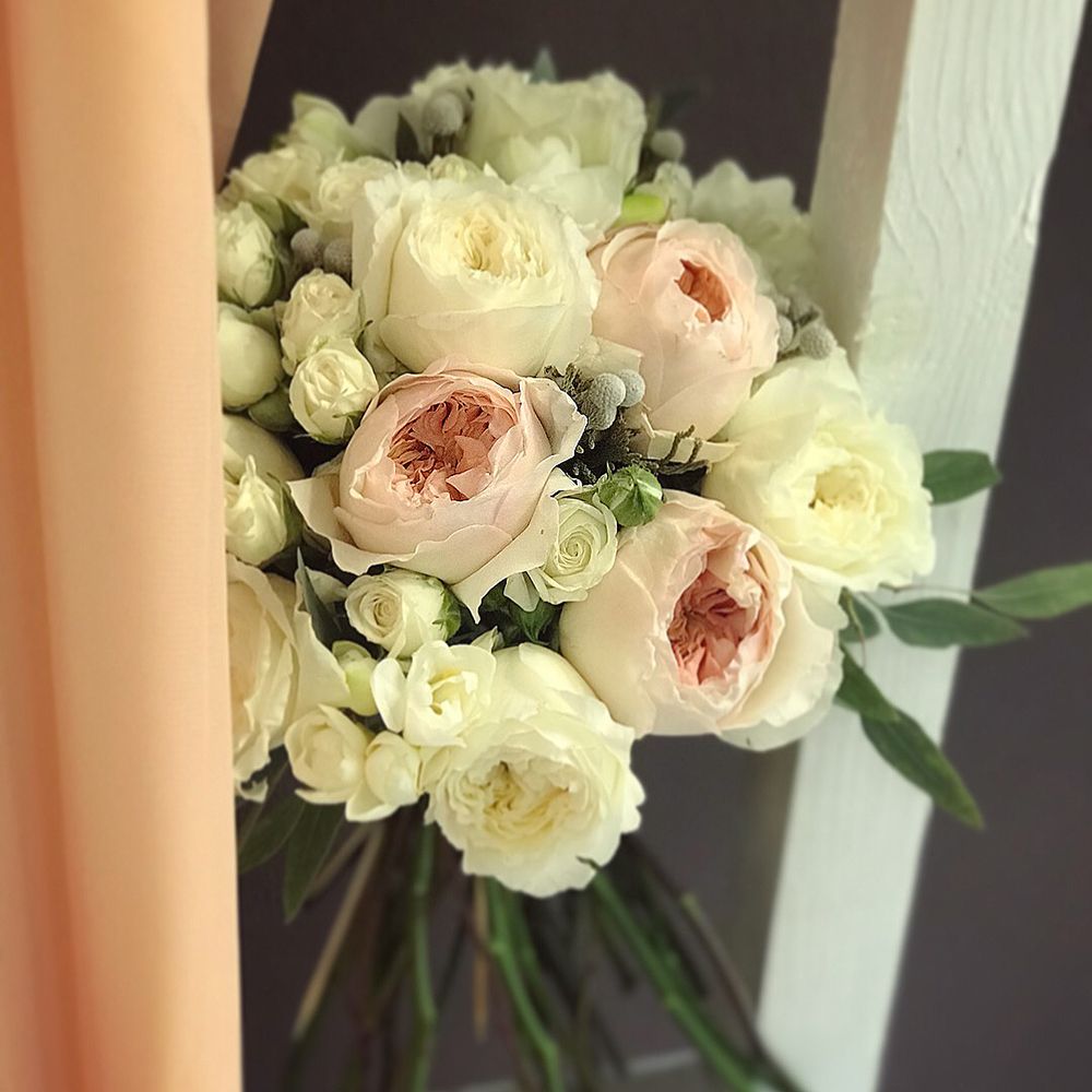 David Austin rose (13 pcs.), packaging, ribbon