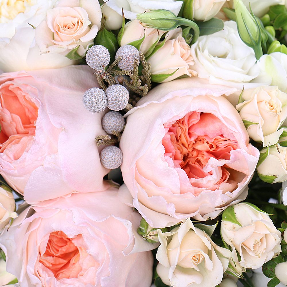 David Austin rose (13 pcs.), packaging, ribbon