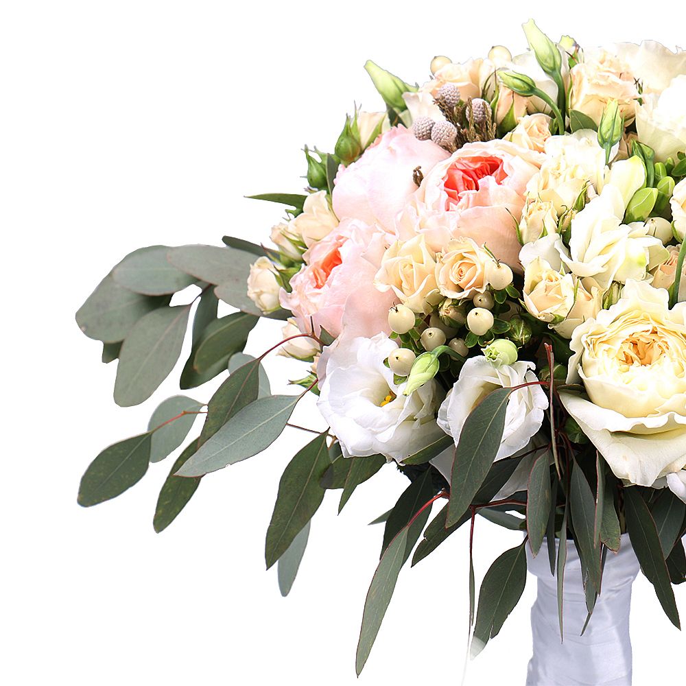 David Austin rose (13 pcs.), packaging, ribbon