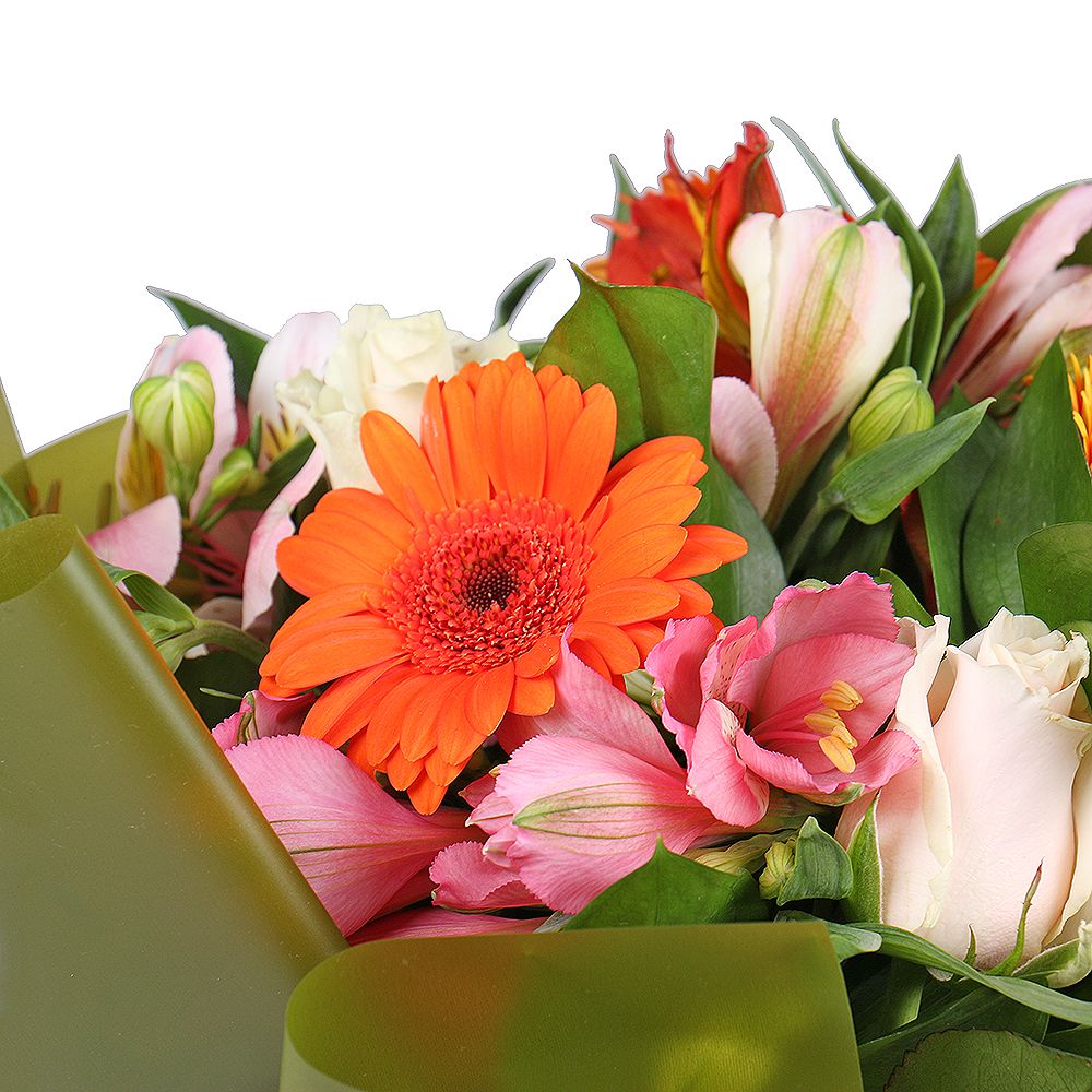 alstroemeria, cream rose, gerbera, packaging, ribbon