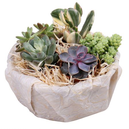 Order  composition in our online shop. Delivery!