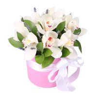 lavender, large round box, white cymbidium (9 pcs.), packaging, ribbon