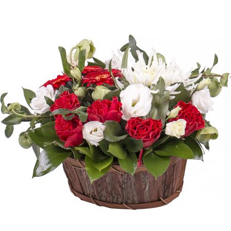 Bouquet Quiet dawns