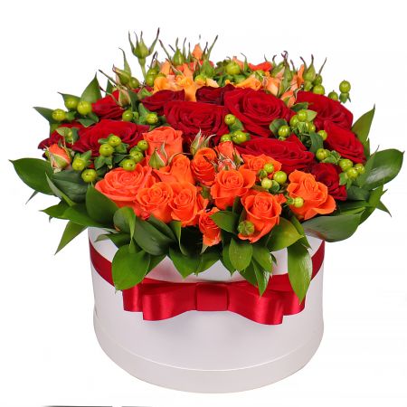 Order the refined composition in our online shop. Delivery!